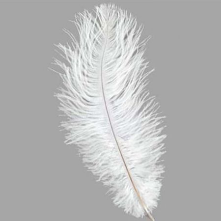 Feathers